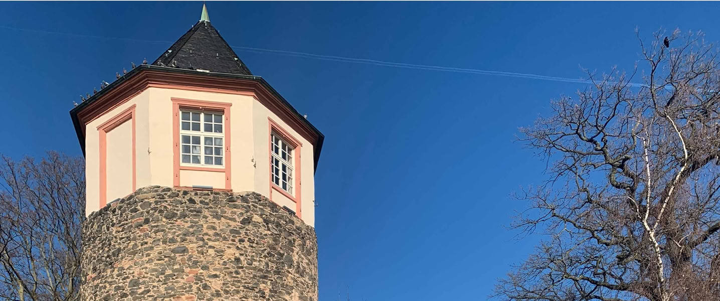 alt="Stadtführung durch Frankfurt-Höchst"