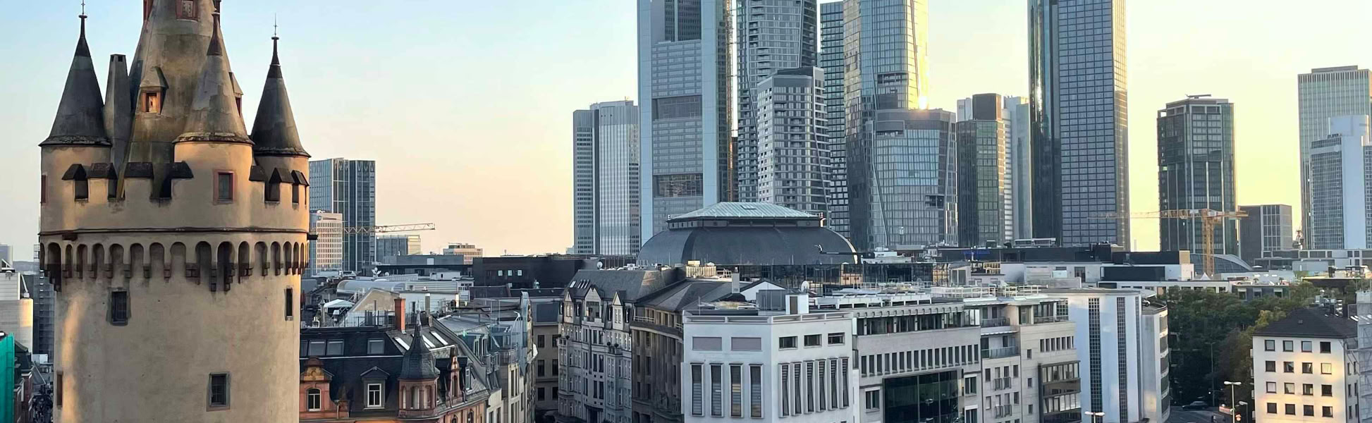 alt="Stadtfuehrungen in Frankfurt, Neue Altstadt, Bahnhofsviertel, Ostend, Höchst"