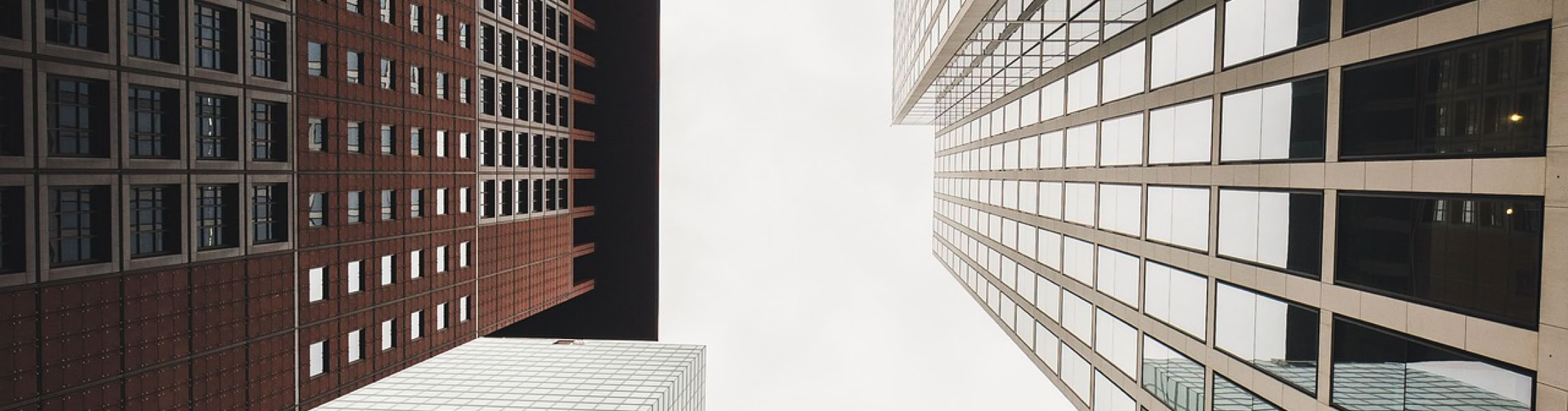 Architektur-Fuehrungen in Frankfurt am Main